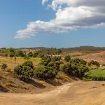 Algarve Race - Apartment Portimao